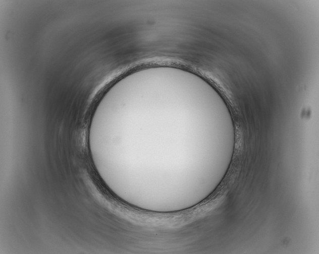 X0000090870016200707271004