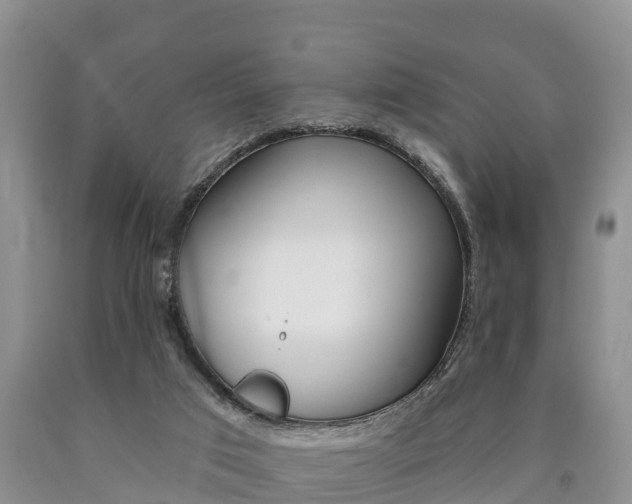 X0000090870017200707271004