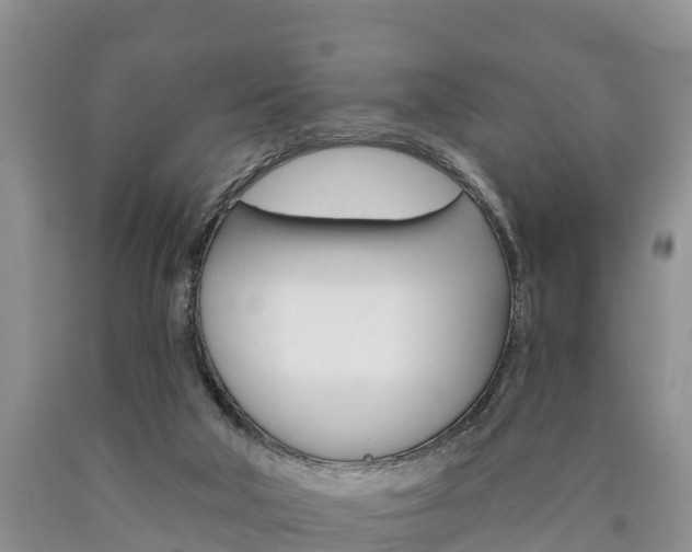 X0000090870018200707271004