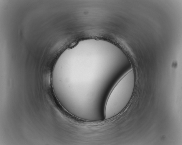 X0000090870021200707271004