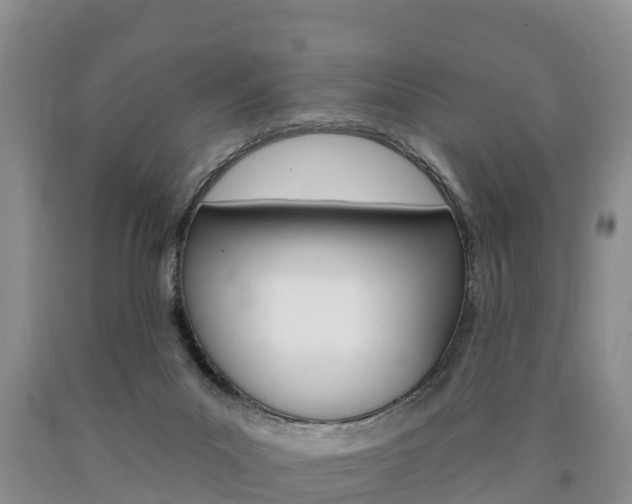 X0000090870023200707271004