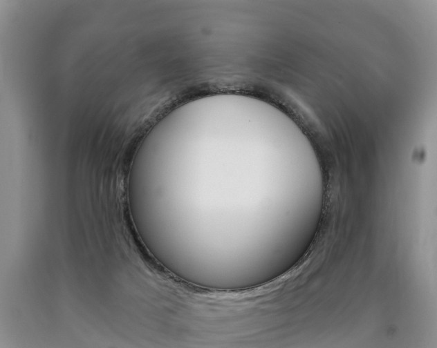 X0000090870025200707271004