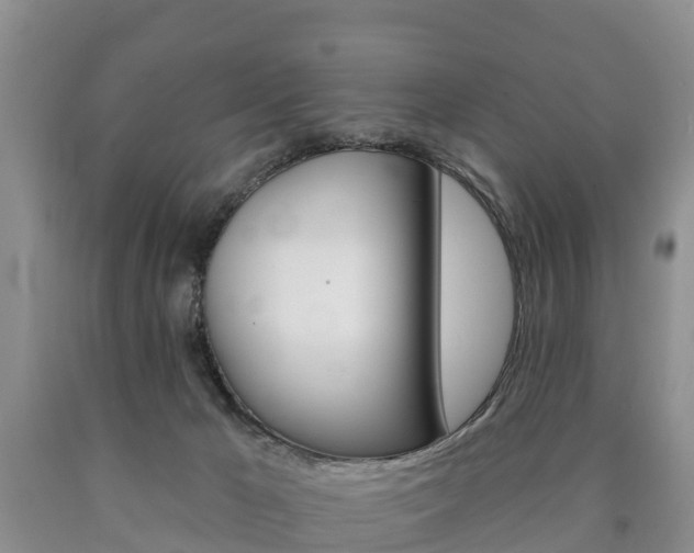 X0000090870029200707271004