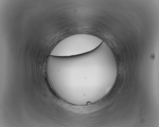 X0000090870030200707271004