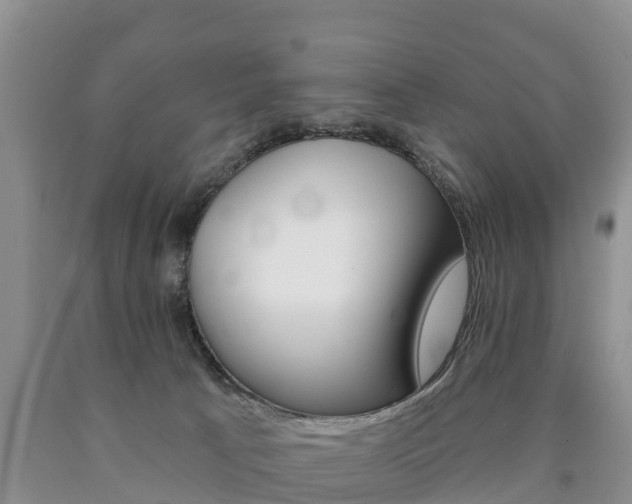 X0000090870033200707271004
