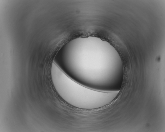 X0000090870037200707271004