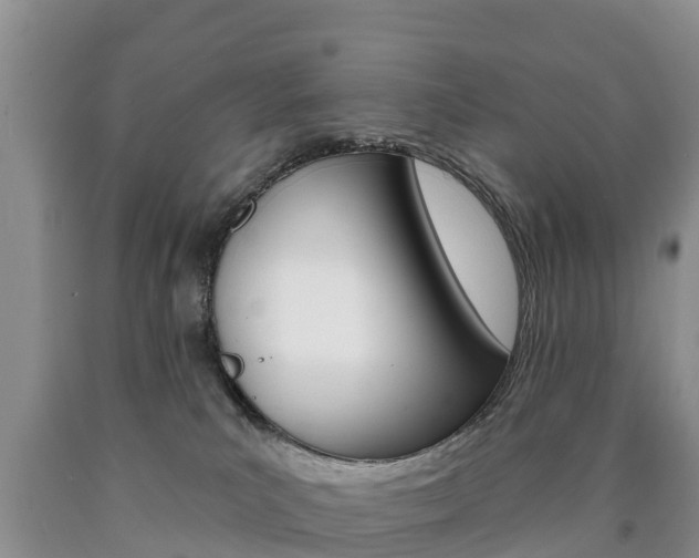 X0000090870039200707271004