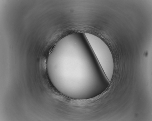 X0000090870041200707271004