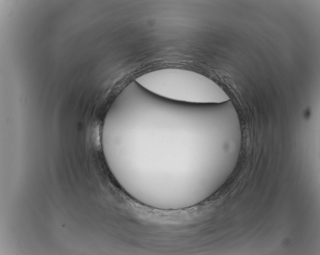 X0000090870042200707271004