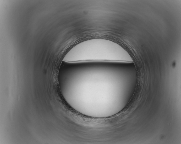 X0000090870044200707271004