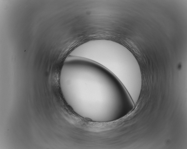 X0000090870045200707271004