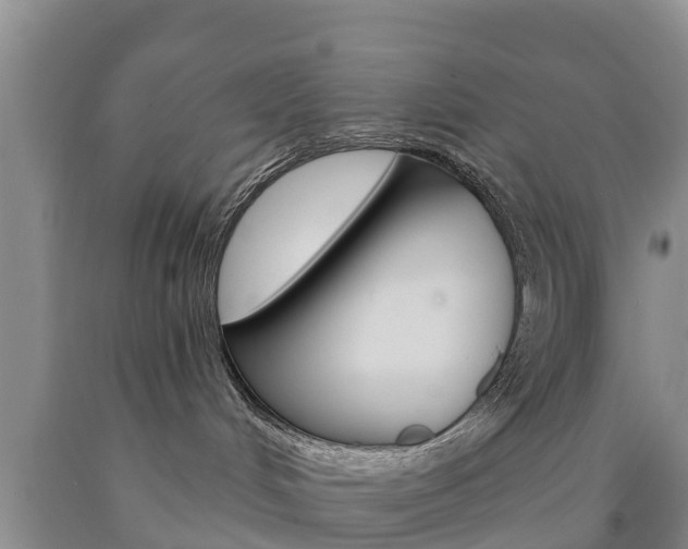 X0000090870048200707271004