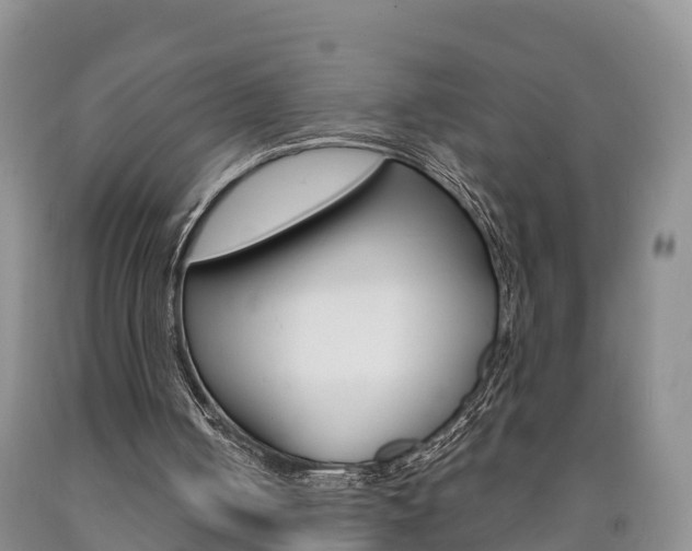 X0000090870050200707271003