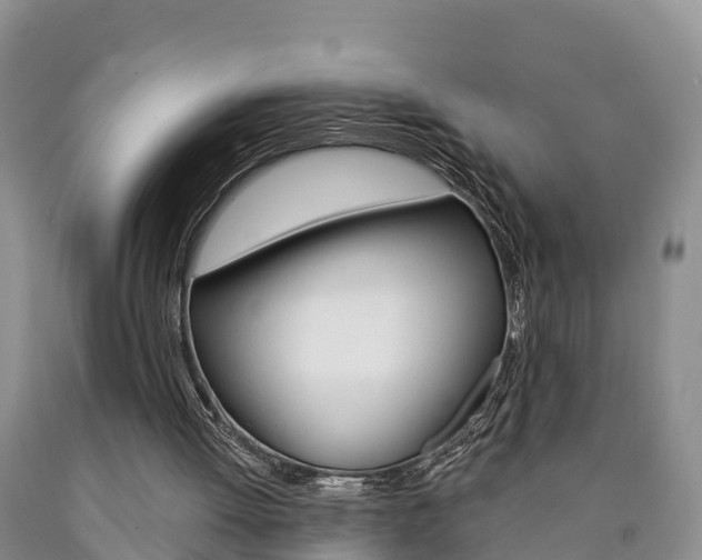 X0000090870052200707271003