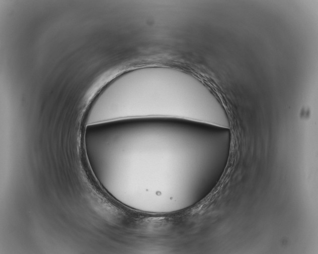 X0000090870054200707271003