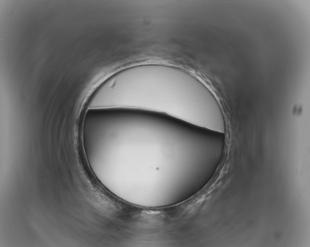X0000090870055200707271003