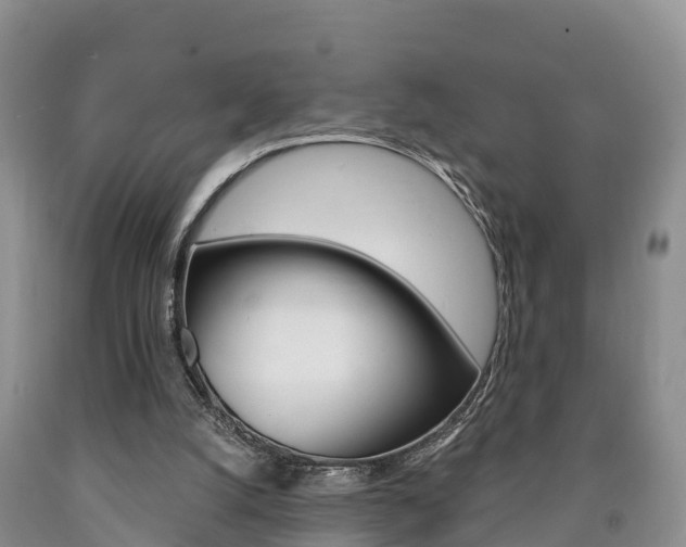 X0000090870056200707271003