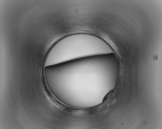 X0000090870058200707271003