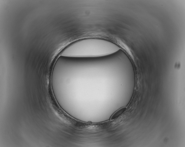 X0000090870059200707271003