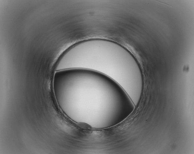 X0000090870060200707271003