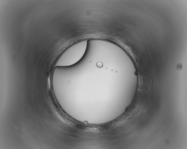 X0000090870061200707271003