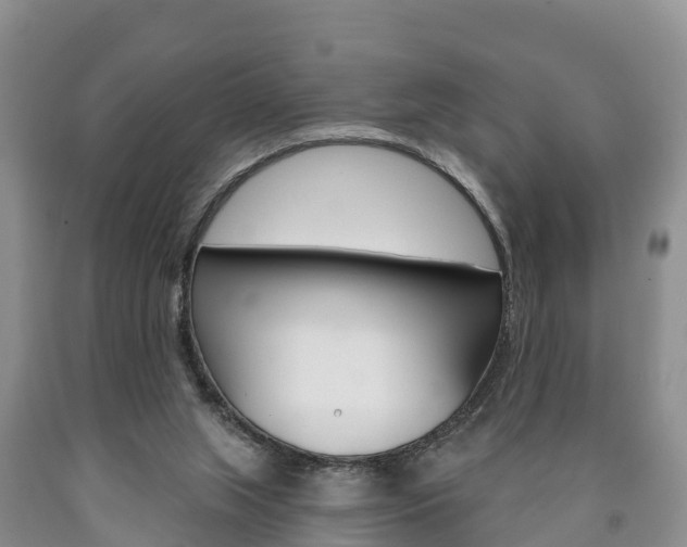 X0000090870063200707271004