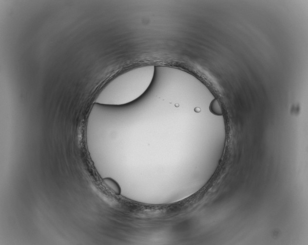 X0000090870065200707271004