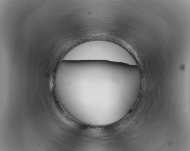 X0000090870069200707271004