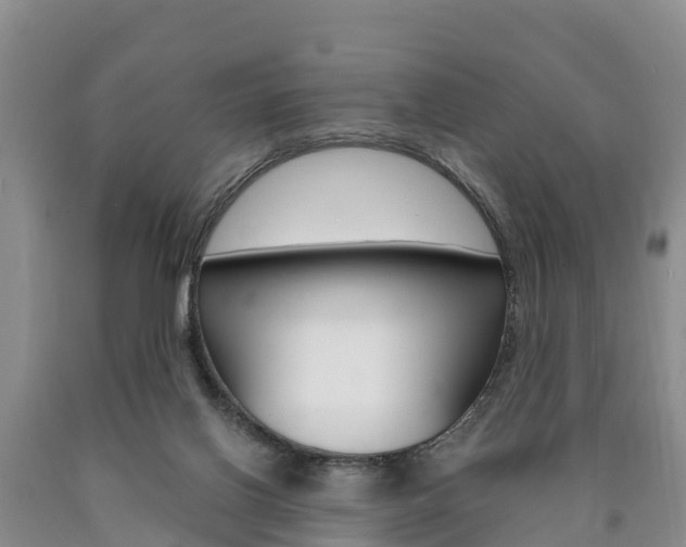 X0000090870070200707271004