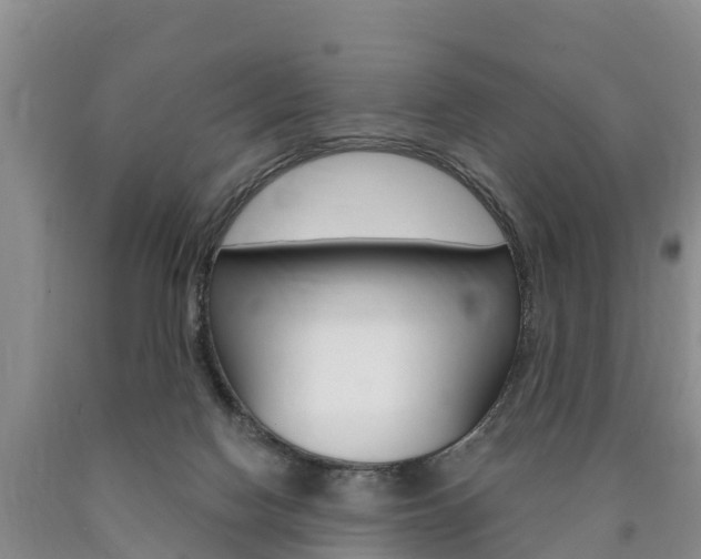 X0000090870074200707271004