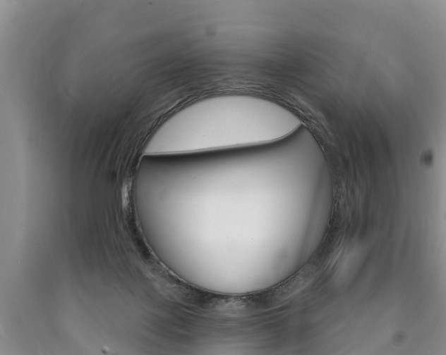 X0000090870075200707271004