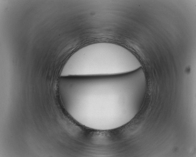 X0000090870077200707271004