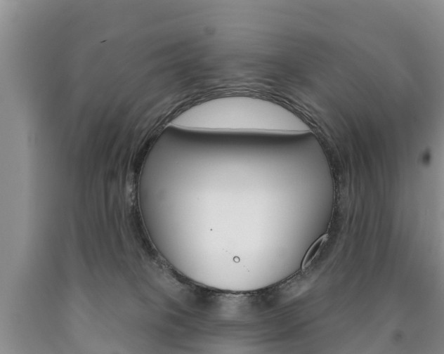 X0000090870085200707271004