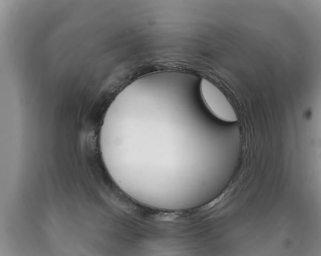 X0000090870086200707271004
