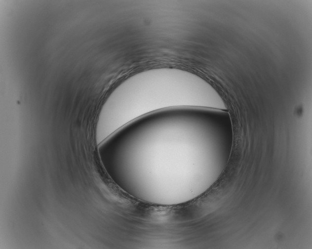 X0000090870088200707271004