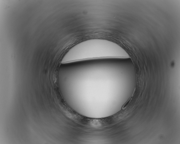 X0000090870091200707271004