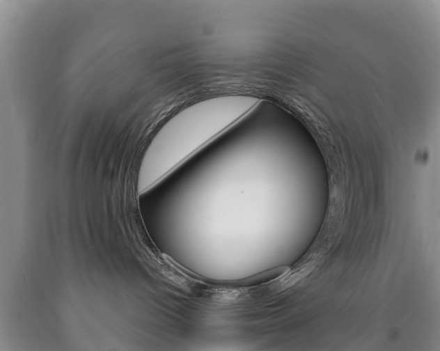 X0000090870096200707271004