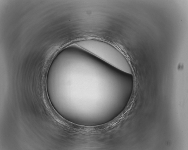 X0000090870097200707271003