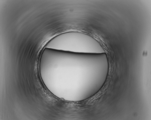 X0000090870098200707271003