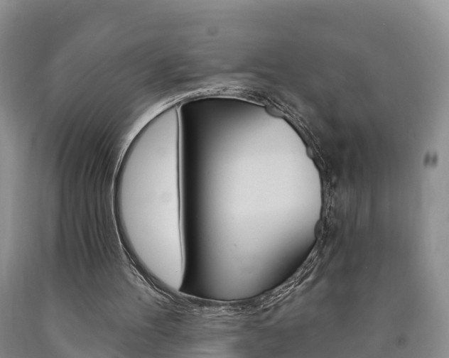 X0000090870100200707271003