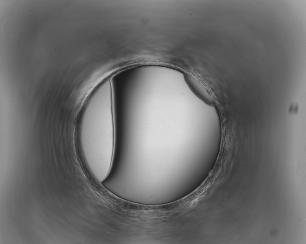 X0000090870103200707271003