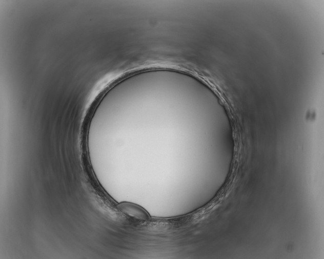 X0000090870104200707271003