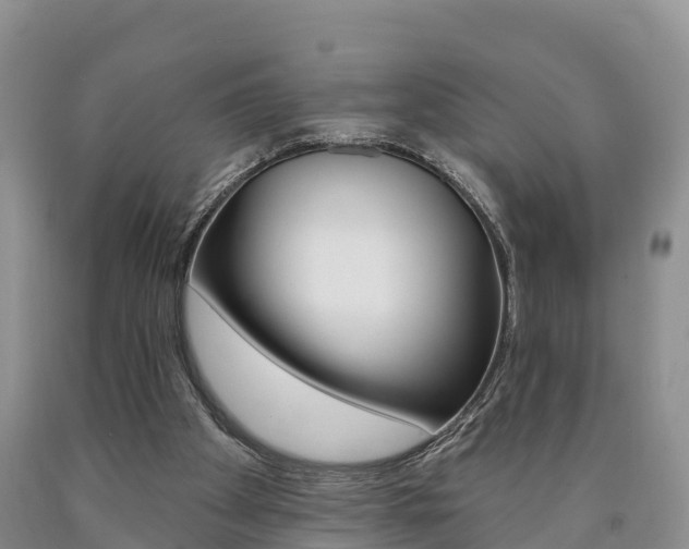 X0000090870105200707271003