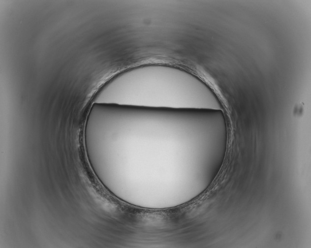 X0000090870106200707271003