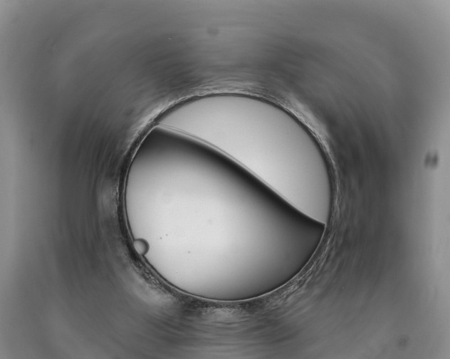 X0000090870107200707271003