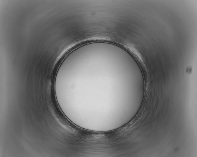 X0000090870108200707271003