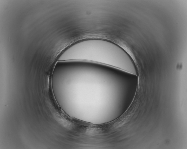 X0000090870109200707271003