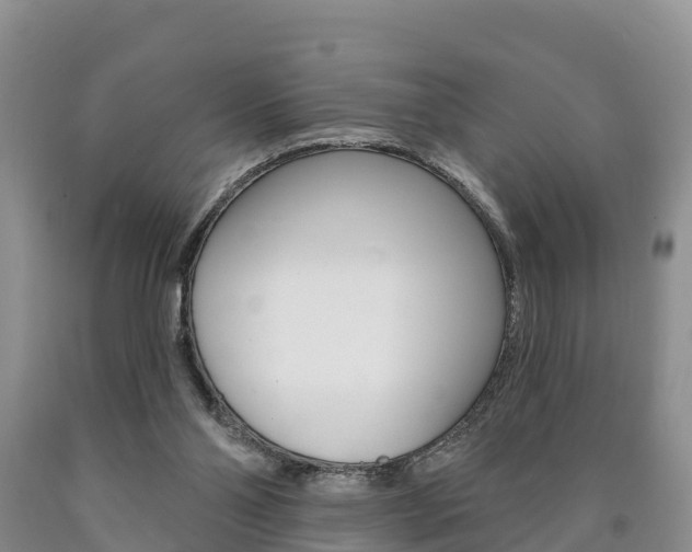 X0000090870110200707271003