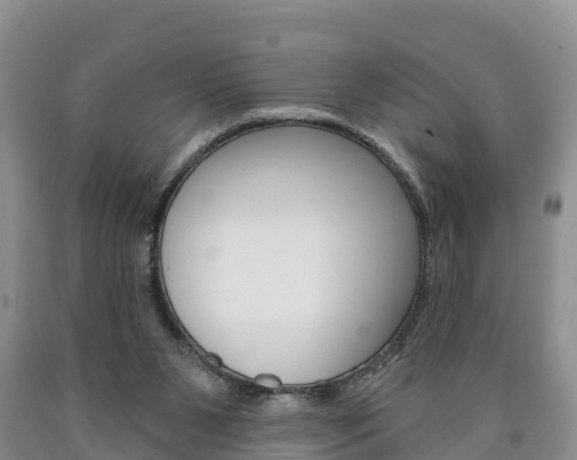 X0000090870111200707271003