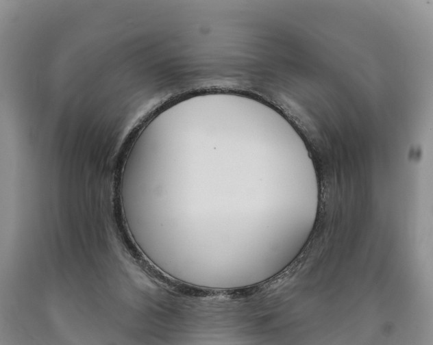 X0000090870112200707271003